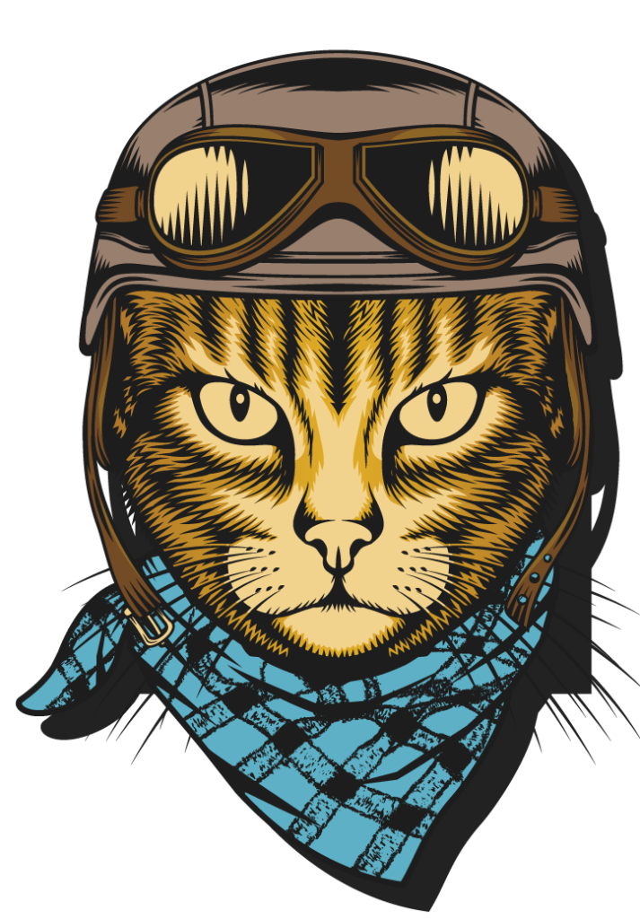 Crafty Cat Bar 